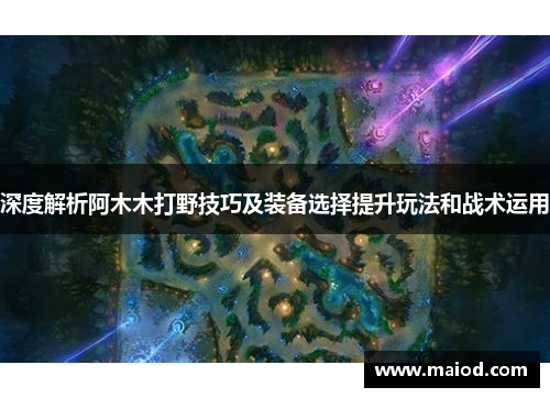 深度解析阿木木打野技巧及装备选择提升玩法和战术运用